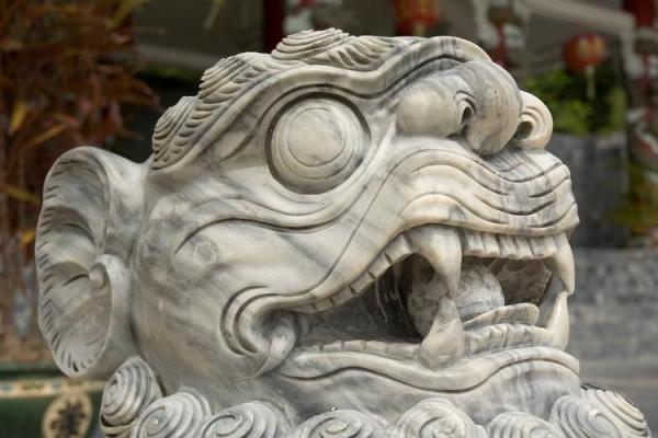 探秘中国传统文化：面命耳训中的动物含义与象征