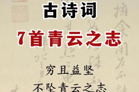 命里带青云，展翅高飞的寓意与启示