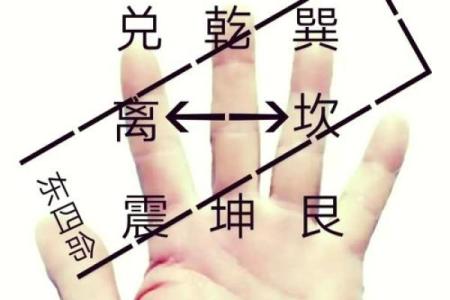 探索东四命：掌握命运的智慧与技巧
