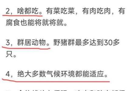 生肖猪的命理解析:豕之性格,富贵盈门的秘密之道