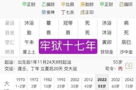 女命己巳年大运解析与命理人生的启示