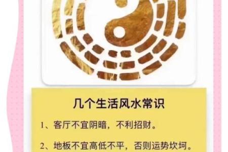 探究年命生你：解读命理背后的智慧与启示