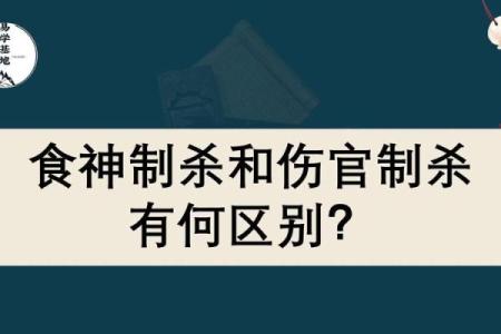 命局中的食伤：人格魅力与创造力的象征