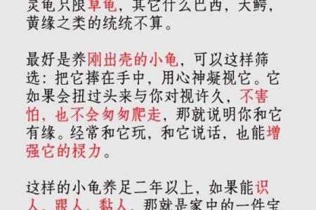 守护土命属狗之灵,如何选择合适的风水宝物