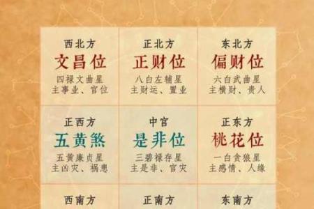 解密明年属狗的木命，2024年运势大公开！