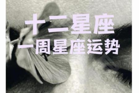 探讨女命4.7两:命理中的命格解析与人生引导
