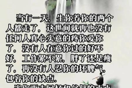 留个命：人生的意义与珍惜生命的智慧