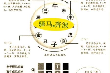 探寻马五行命理：揭示属于马年的命理特征与人生智慧