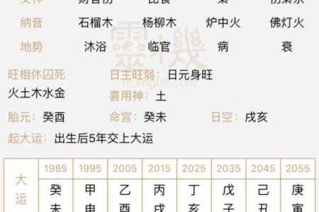 男命八字中的“坐印”解析:命运的深度解读与好运的引领