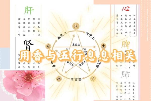 探秘命卦五行，揭示人生运势的奥秘与智慧