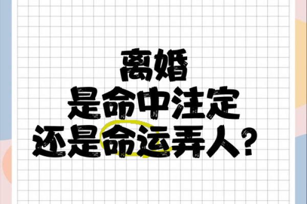 离婚女人的命运：重塑人生的华丽转身与自我救赎