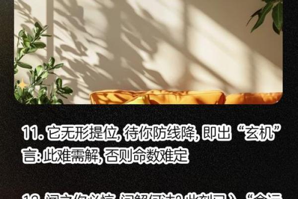 探秘农历七月十六的命理密码：揭开命运的面纱