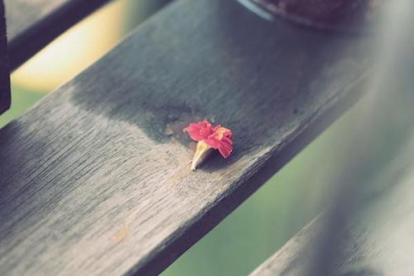 命里带邢的深意：解读你的命运与人生旅程