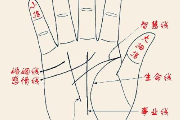 揭秘六月出生者的五行命理，探索命运的秘密与人生的方向