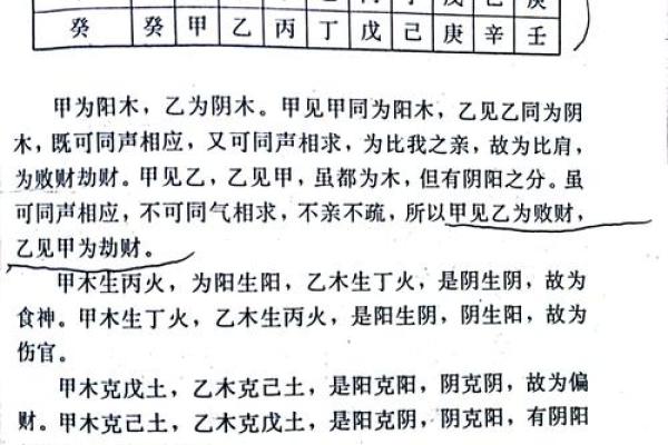 探索命理：最佳命理组合与相性分析
