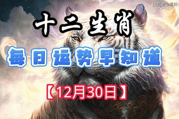 乐天之命，好运来！深度解析2023年生肖运势