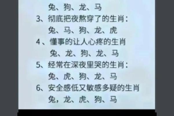 命里有时终需有：探秘与生肖的奇妙关联与人生哲学