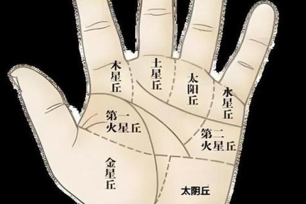 女人手上7个斗代表什么命：揭示命运的奥秘与美丽转变