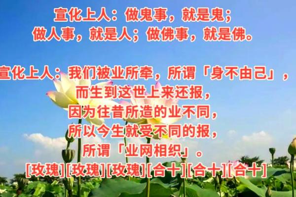命理中的重拜义母：寻根问底，探索家庭与命运的交汇点