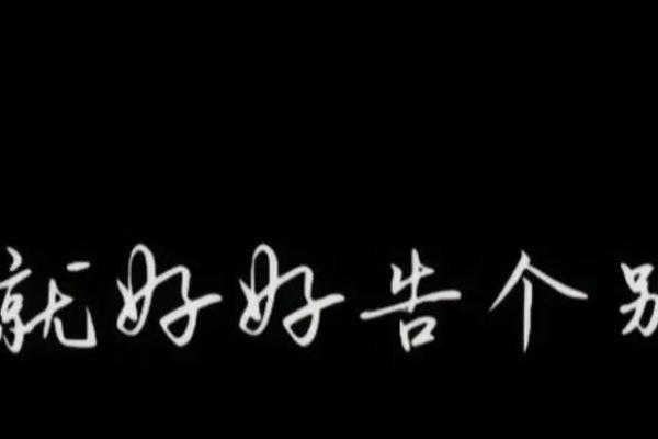 《炮灰的命也是命：每一个生命的价值与意义》