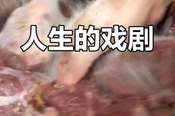 两年两次手术，命运的转折与人生的反思