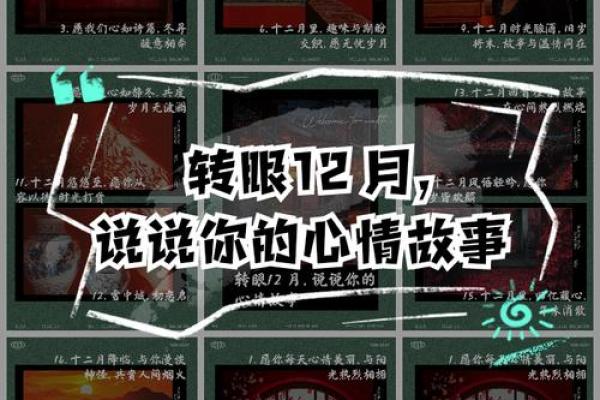 留他命九尘埃：一段遗失的岁月与珍贵的悔悟