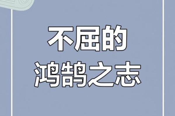 命好但命薄：探索命运与生活的深刻哲理