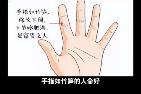看手相知富贵命与穷命,揭示命运奥秘之道!