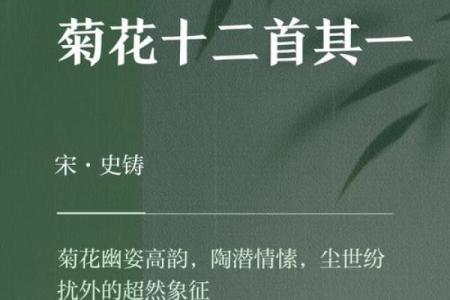 探寻菊花命：揭示菊花命的人生与性格特征