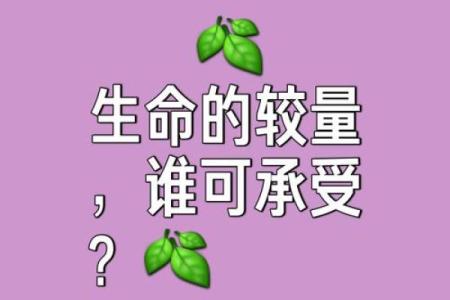 探寻生命的意义：命运与运势的细腻交织