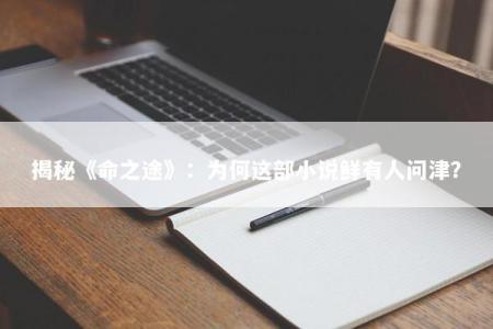 揭秘《命之途》：为何这部小说鲜有人问津？