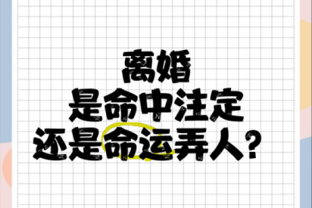 离婚女人的命运：重塑人生的华丽转身与自我救赎