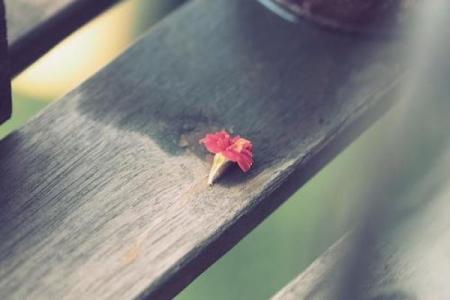 命里带邢的深意：解读你的命运与人生旅程