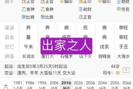 女命八字解析：揭秘财星对女性命运的影响与启示