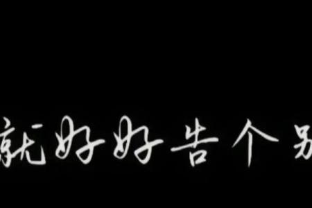 《炮灰的命也是命：每一个生命的价值与意义》