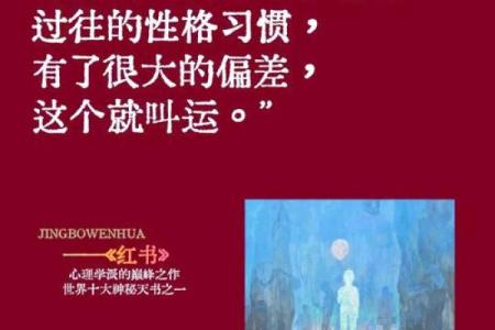 探究命格的奥秘：高低命格背后的智慧与说法