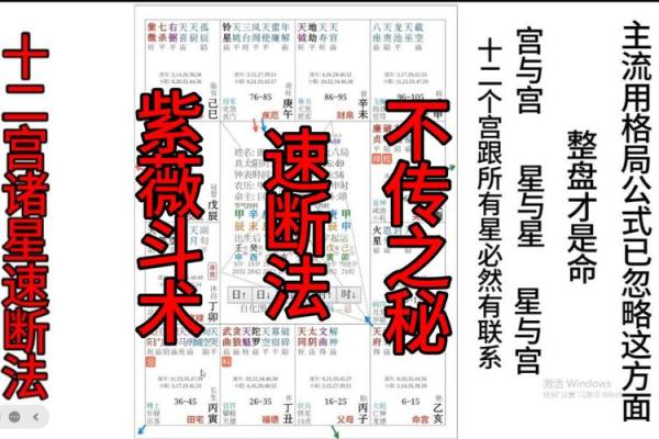 探索紫薇星命运解析：揭秘命带紫薇星之人特质与运势