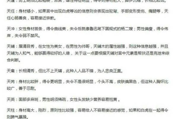 解密男命犯朱雀：揭开命理中的神秘面纱
