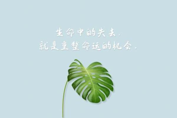 九月出生之人的仕途与命运解析：成功的密码与挑战
