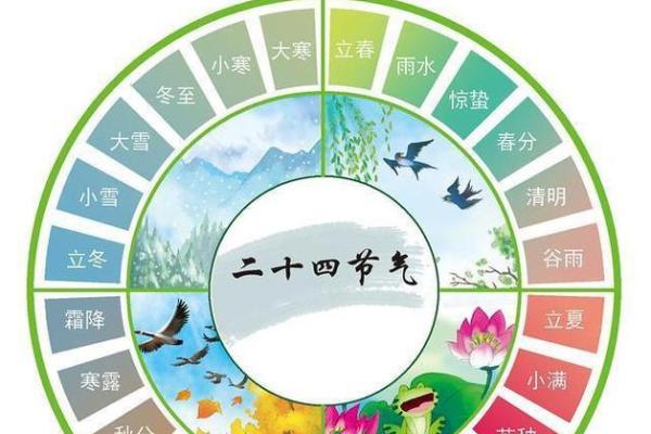 立春前天出生的命理解析：探秘命运的别样风景