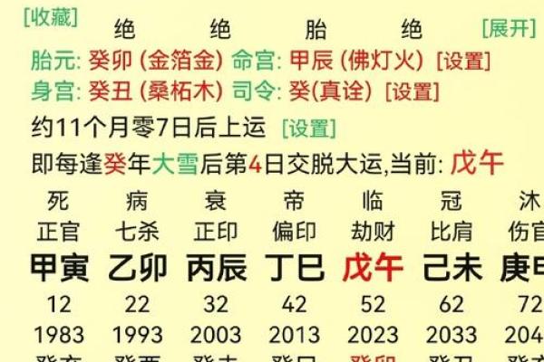 命局缺陷与命运探秘：如何理解个人八字中的不足之处