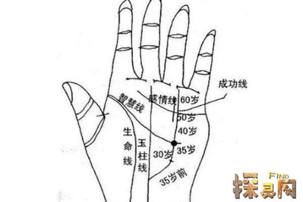 解读连心眉与断掌男人的命运之谜，探寻内心世界与命运之路！