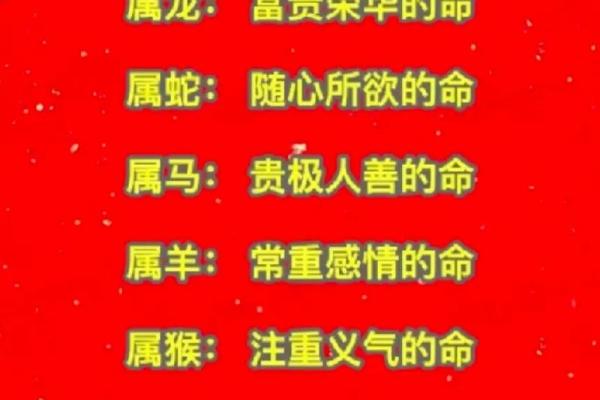 解析命好的女性属相：十二生肖的女性智慧与命运之旅