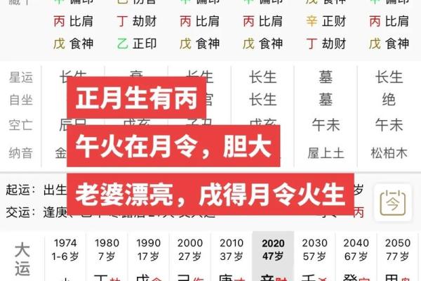 命理学与电脑下载：探索数字世界的传统智慧