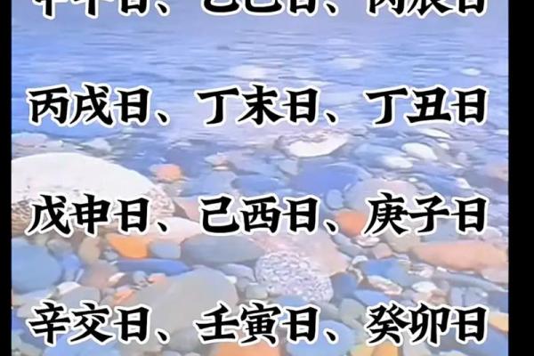 命理学与电脑下载：探索数字世界的传统智慧