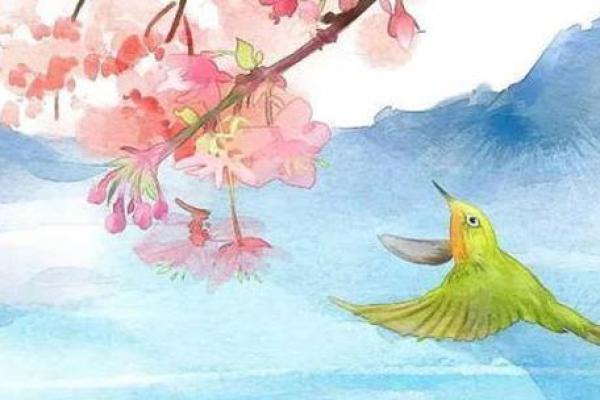 探秘龙张星守命：与命运的搏斗与和谐之道