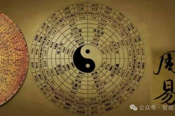 零点十八分出生的人命理解析：命运的神秘轨迹与人生选择