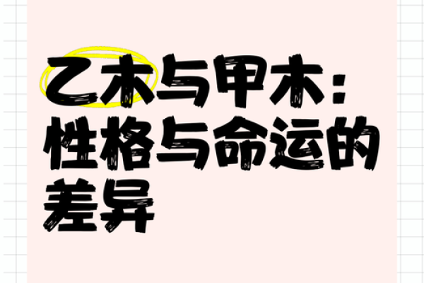 了解乙木命：生命中的木之灵，如何影响我们的性格与运势
