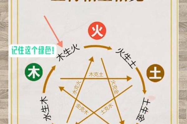 命理九流：解密九种命理特征与人生轨迹的奥秘