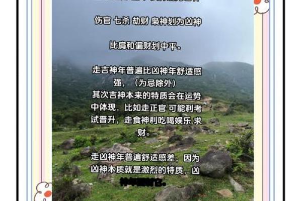 女命伤官多，如何走出好运之路！